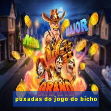 puxadas do jogo do bicho